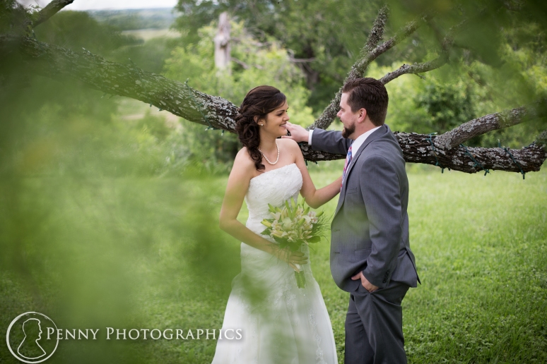 Wedding photos under tree at TerrAdorna in Manor, TX