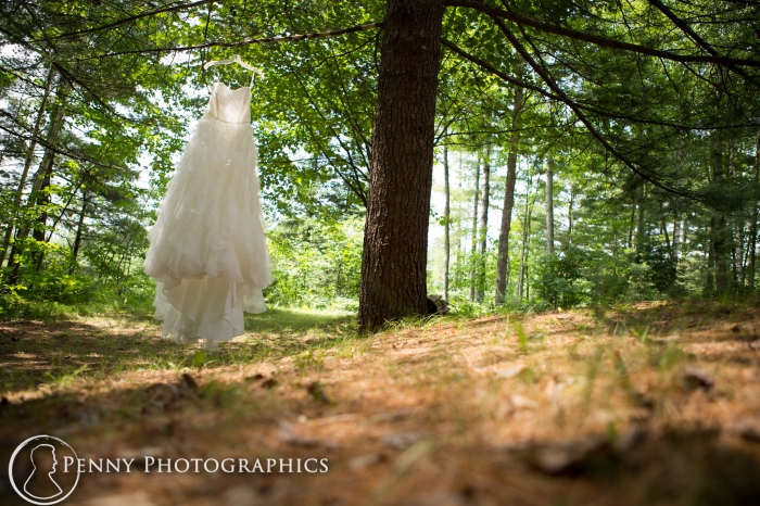 beautiful wedding dress photo outside in the trees