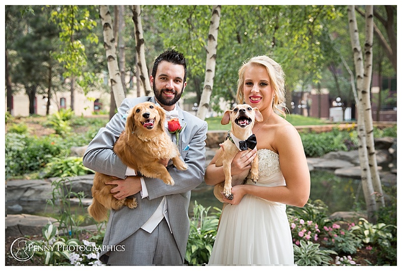 urban wedding couple with dogs